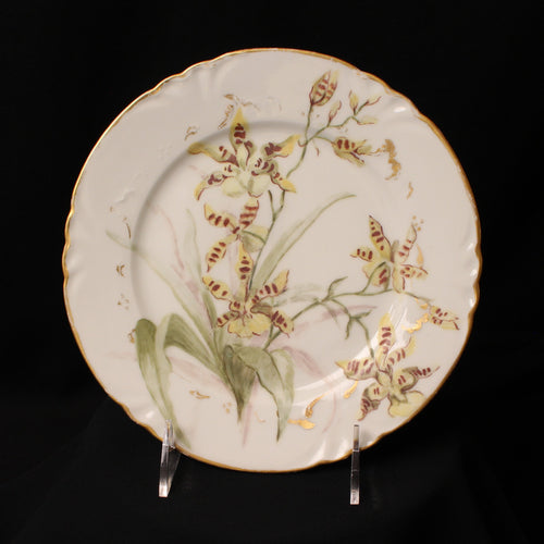 Limoges China- Cabinet Plate