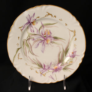 Limoges China- Cabinet Plate