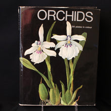 Load image into Gallery viewer, Orchids by J. Oplt