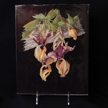 Load image into Gallery viewer, Orchids by J. Oplt