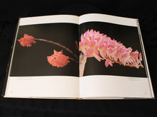 Load image into Gallery viewer, The Orchid by P. Francis Hunt