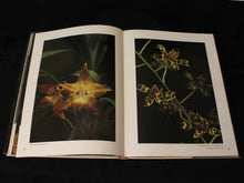 Load image into Gallery viewer, The Orchid by P. Francis Hunt