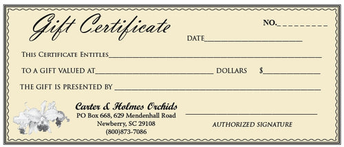 Gift Certificate (Pick Amount)